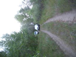 exp-zr-2009 488